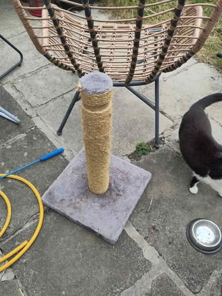 Photo of free Cat Scratching Post (Ebley GL5) #1