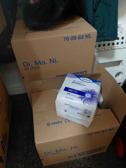 Photo of free Tena Maxi Night pads (Fishermead MK6) #1