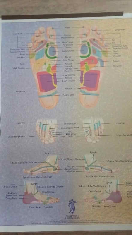 Photo of free Reflexology poster (Abingdon-on-Thames OX14) #1