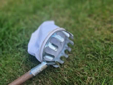 Photo of free fruit picker (Allesley Park CV5) #2