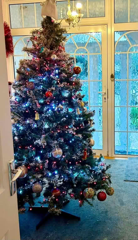 Photo of free Christmas Tree, Crib & decorations (Glasnevin) #1