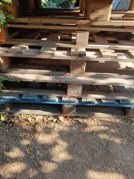Photo of free Pallets (Southbourne PO10) #2