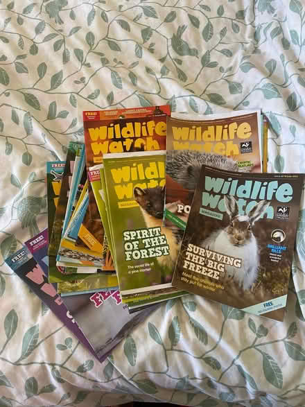 Photo of free WILDLIFE WATCH - Children’s nature magazines (Kingsgate CT10) #1