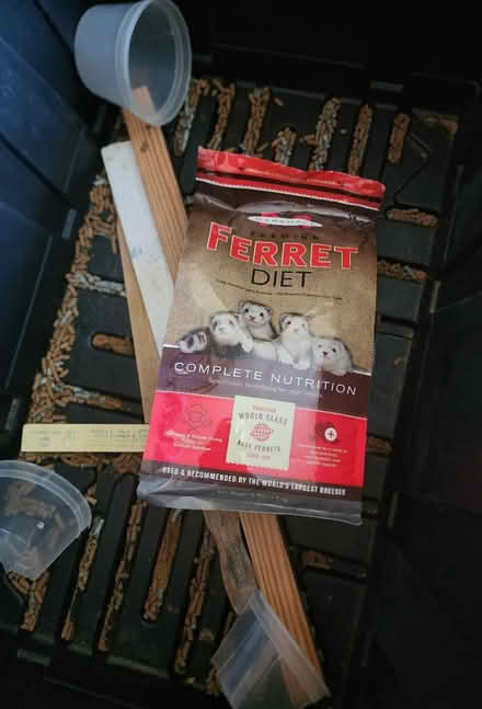 Photo of free Ferret /small animal supplies (Brookfield Connecticut) #3