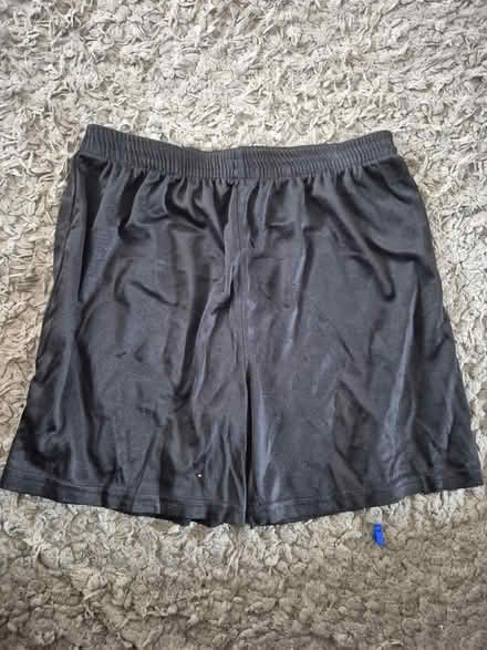 Photo of free P. E shorts 2 sizes (Chard TA20) #2