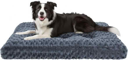 Photo of free Large dog crate, with cushion to fit. (Roehampton SW15) #2