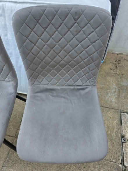 Photo of free Grey plush dining chairs (Ravenscourt Park W6) #1