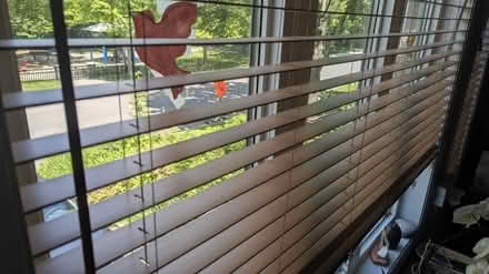 Photo of free Blinds faux wood Maple color (Vanier 32 Dunbarton court) #2