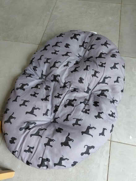 Photo of free Large Dog Bed (Knightsfield Welwyn Garden AL8) #1
