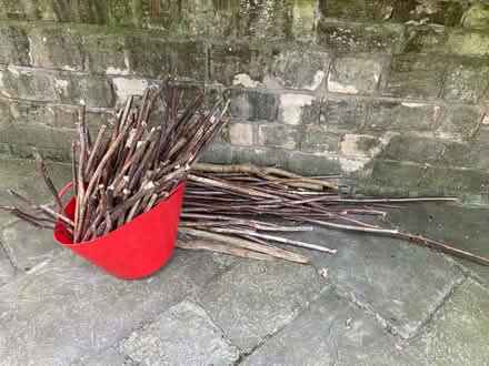 Photo of free Wood for kindling (Stroud GL5) #1