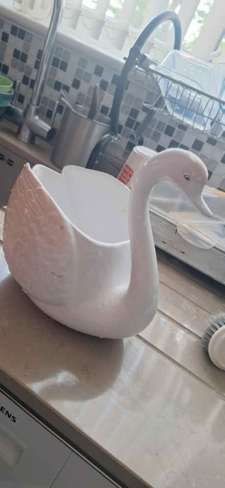 Photo of free Swan Decoration (Brent lea TW8) #3