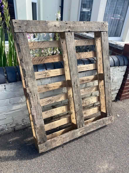 Photo of free Wooden pallet (Blacklands TN34) #2