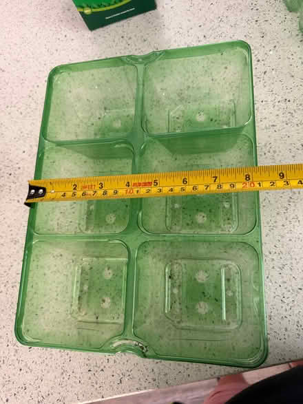 Photo of free 2 Seed Trays (Matlock DE4) #2