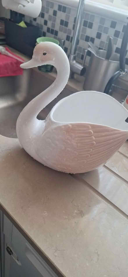 Photo of free Swan Decoration (Brent lea TW8) #1