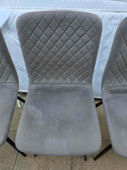 Photo of free Grey plush dining chairs (Ravenscourt Park W6) #3