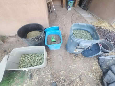 Photo of free Senior horse feed (Rio Bravo & Isleta) #1