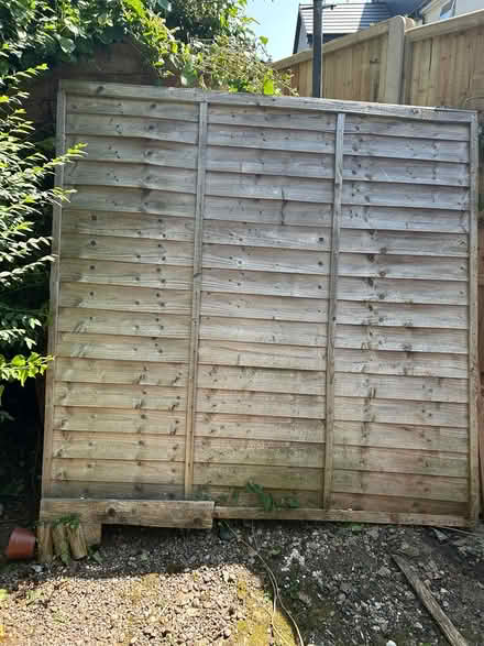 Photo of free 6 foot fence panels (Greenhill S8) #1