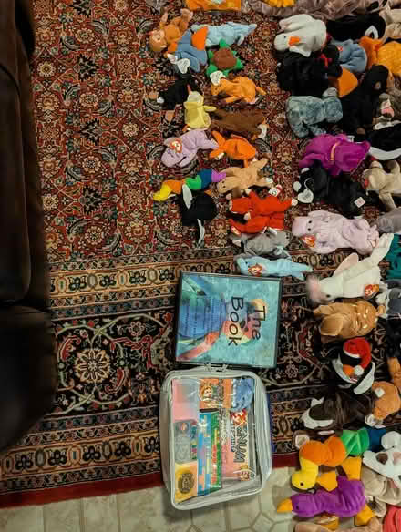 Photo of free Beanie Babies Bulk (Seminary Valley) #3