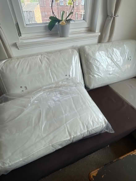 Photo of free 5 Sofa cushions (Roslin EH25) #2