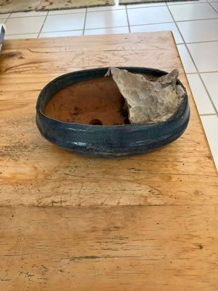 Photo of free Bonsai pot (Hailsham BN27) #1