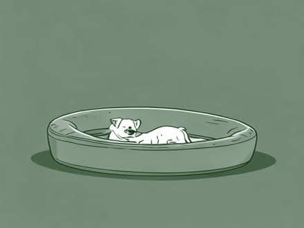 Photo of free Car small dog bed. (Surrey Heath GU24) #1