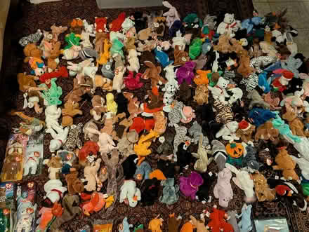Photo of free Beanie Babies Bulk (Seminary Valley) #1