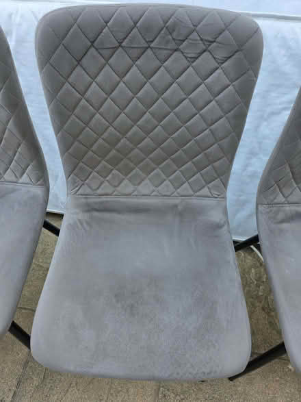 Photo of free Grey plush dining chairs (Ravenscourt Park W6) #2