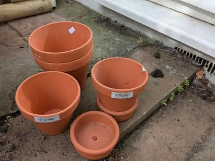 Photo of free terracotta pots and trays (Brighton BN2) #1