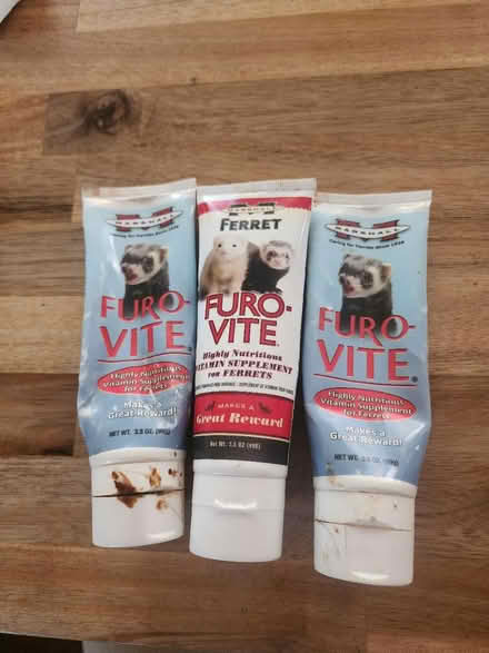 Photo of free Ferret /small animal supplies (Brookfield Connecticut) #4