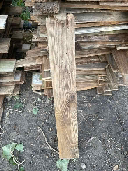 Photo of free Wood for burning (Kingston upon Thames, KT1) #2