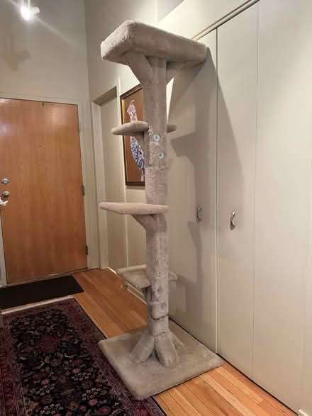 Photo of free Cat Tree (River North) #1