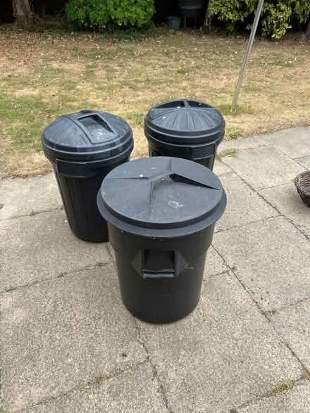 Photo of free Garden clearance (Willen Park MK15) #2