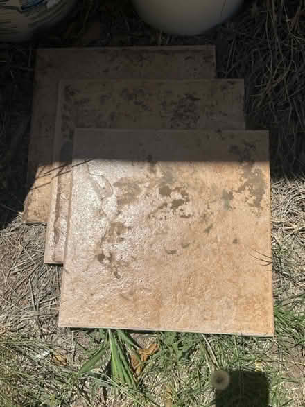 Photo of free Ceramic Tile (Carlisle/Gibson) #1