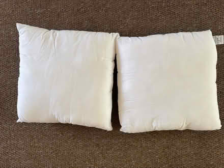 Photo of free Cushion inserts approx 12” sq (Welling DA16) #1