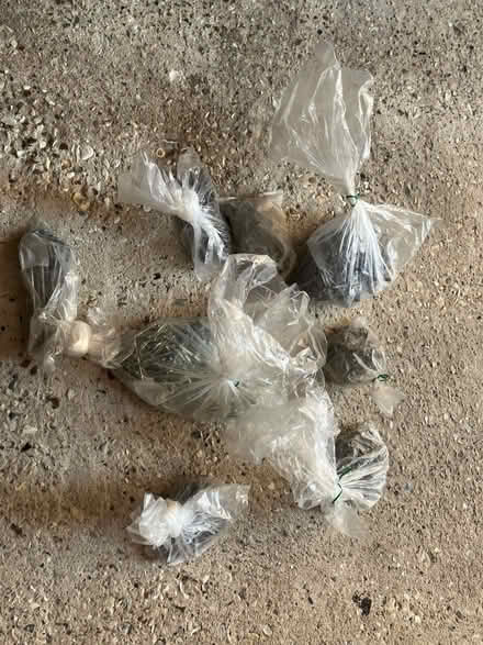 Photo of free Several bags of assorted nails (North Ascot SL5) #1
