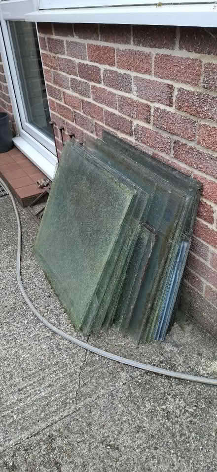 Photo of free Greenhouse glass panes (Harrogate HG1) #1