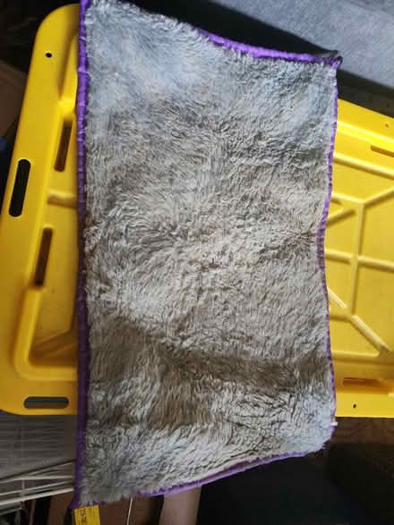 Photo of free Ferret /small animal supplies (Brookfield Connecticut) #1