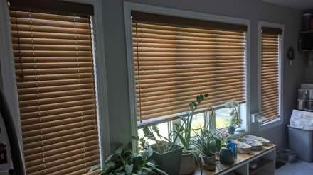 Photo of free Blinds faux wood Maple color (Vanier 32 Dunbarton court) #1