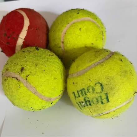 Photo of free Tennis balks (Westbury Wilts BA13) #1