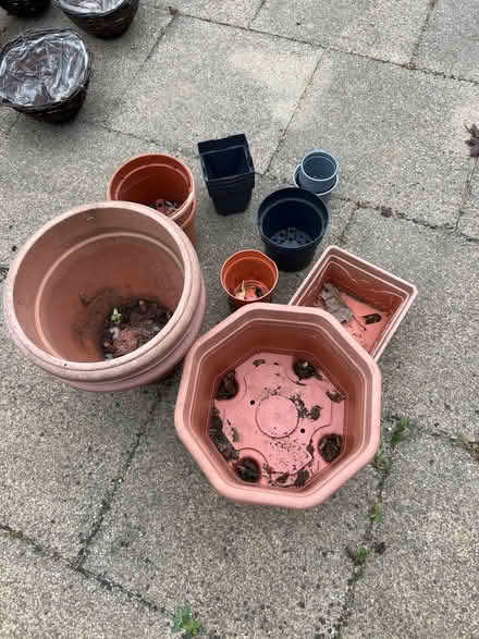 Photo of free Garden clearance (Willen Park MK15) #3