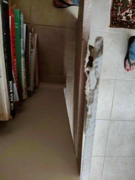 Photo of free Plaster board (Jericho OX2) #2