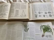 Photo of free Gardening books (Broughton MK10) #2