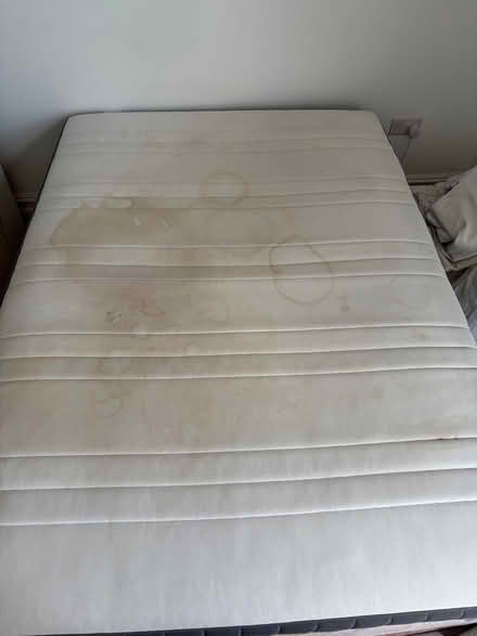 Photo of free Double bed and frame (Hove BN3) #2