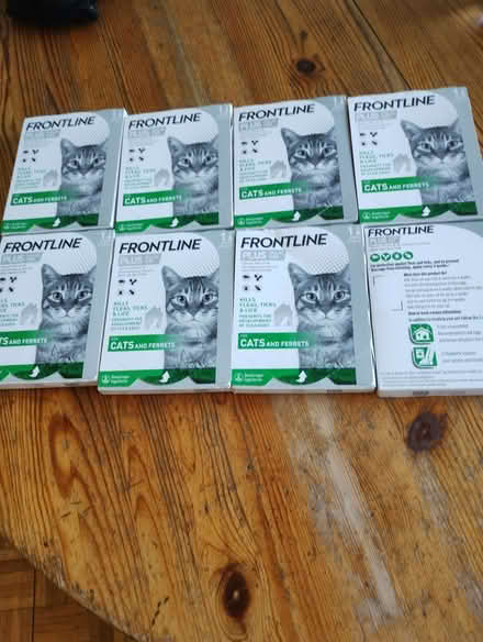 Photo of free Flea treatment for cats (Crosspool S10) #3