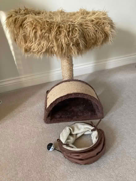 Photo of free Cat scratch posts/ pedestal beds (High Shincliffe DH1) #1