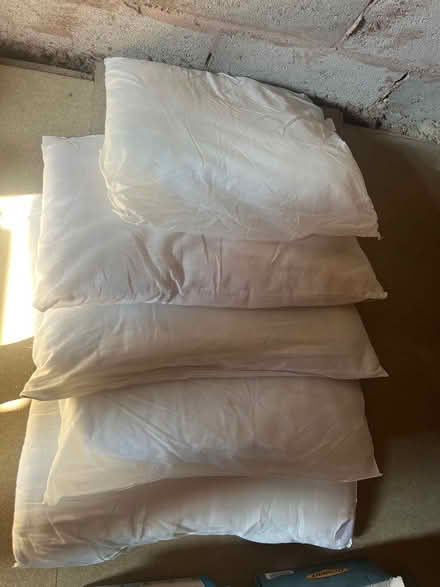 Photo of free 5 pillows & cushion insert (Bidston CH43) #2