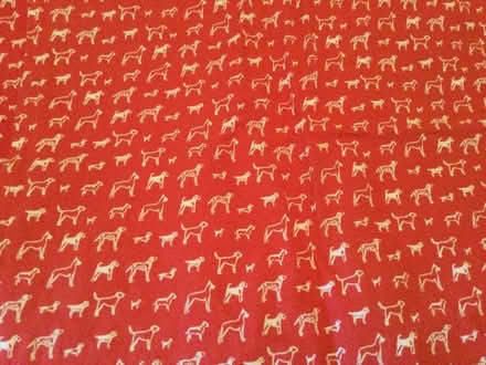 Photo of free Dog bandana x2 (Butternut Box) (Calverton MK11) #2