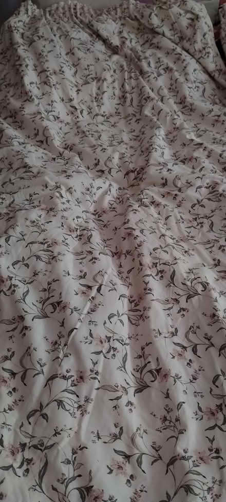 Photo of free A pair of curtains (St Leonards) #1