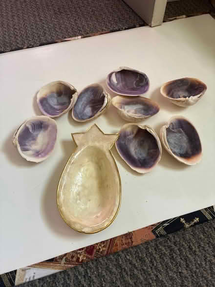 Photo of free Shells (Los Altos) #1