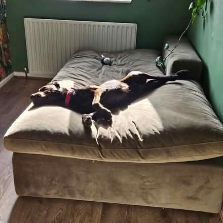 Photo of free Single bed- sofa (LS26 rothwell) #3